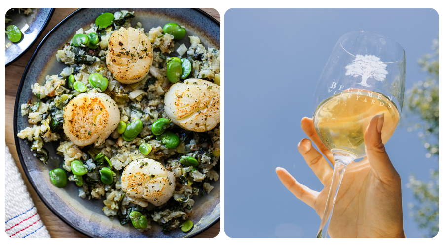 Seared Scallops plated and a glass of Grenache Blanc